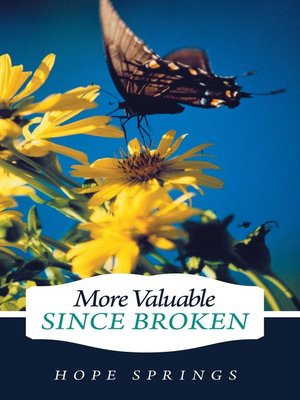 cover image of More Valuable Since Broken